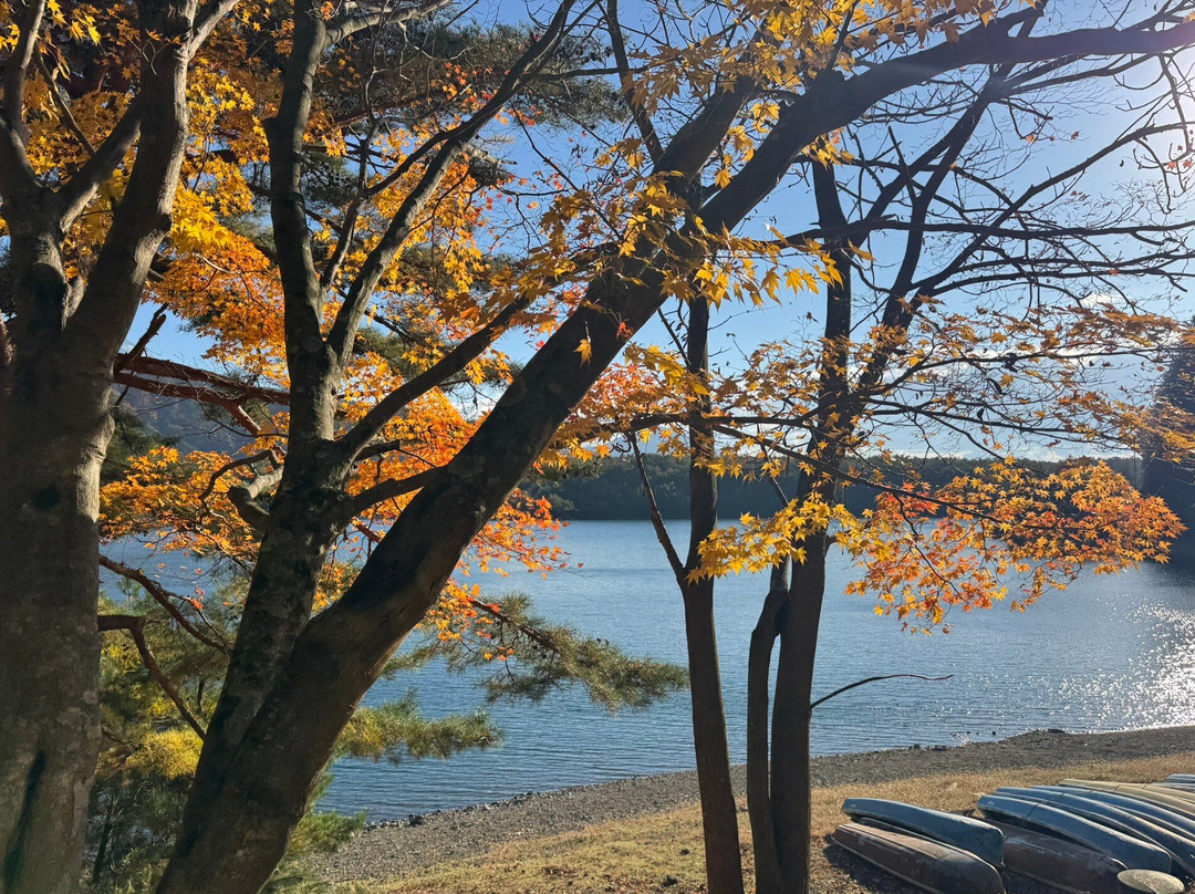 西湖-富士河口湖町必去景点