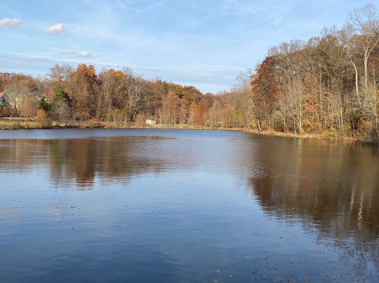 Waverly Park-路易斯维尔必去景点