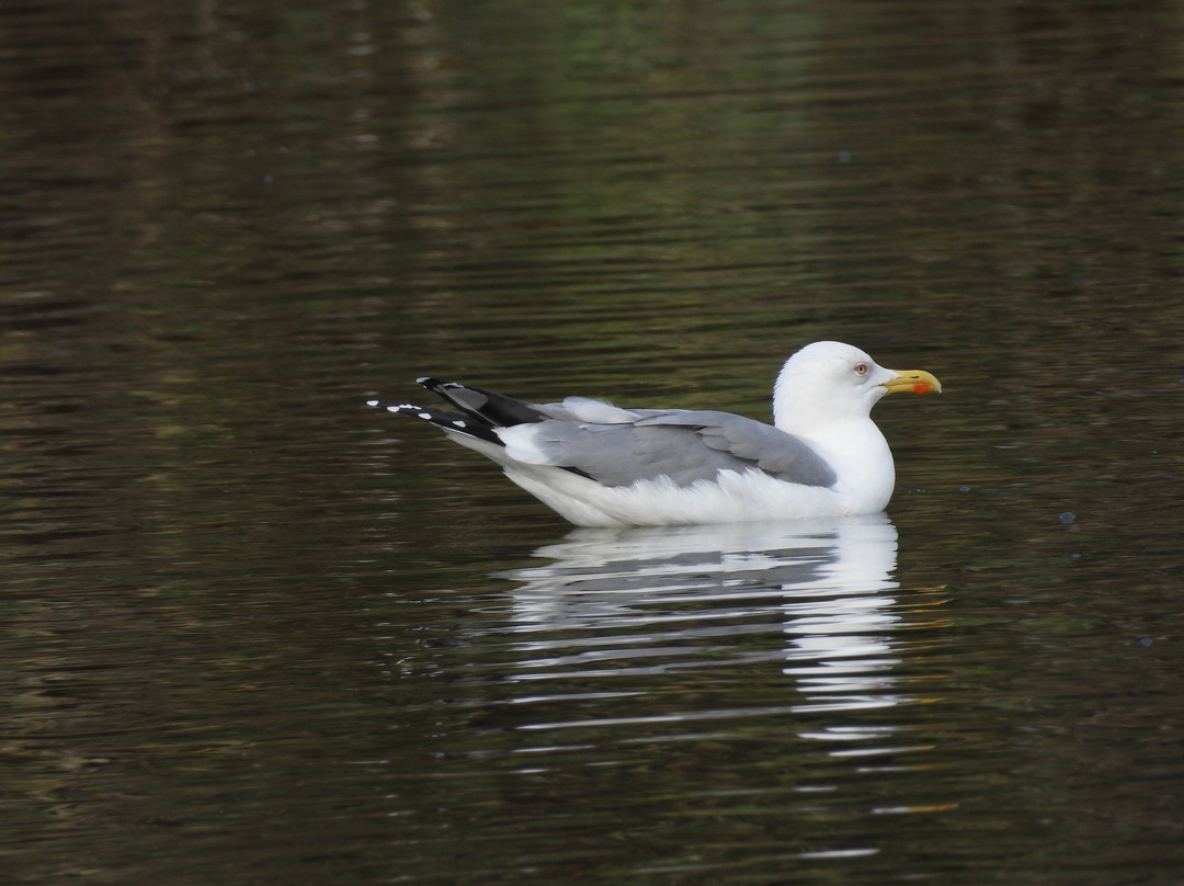 Greece Bird Tours-Marathon必去景点