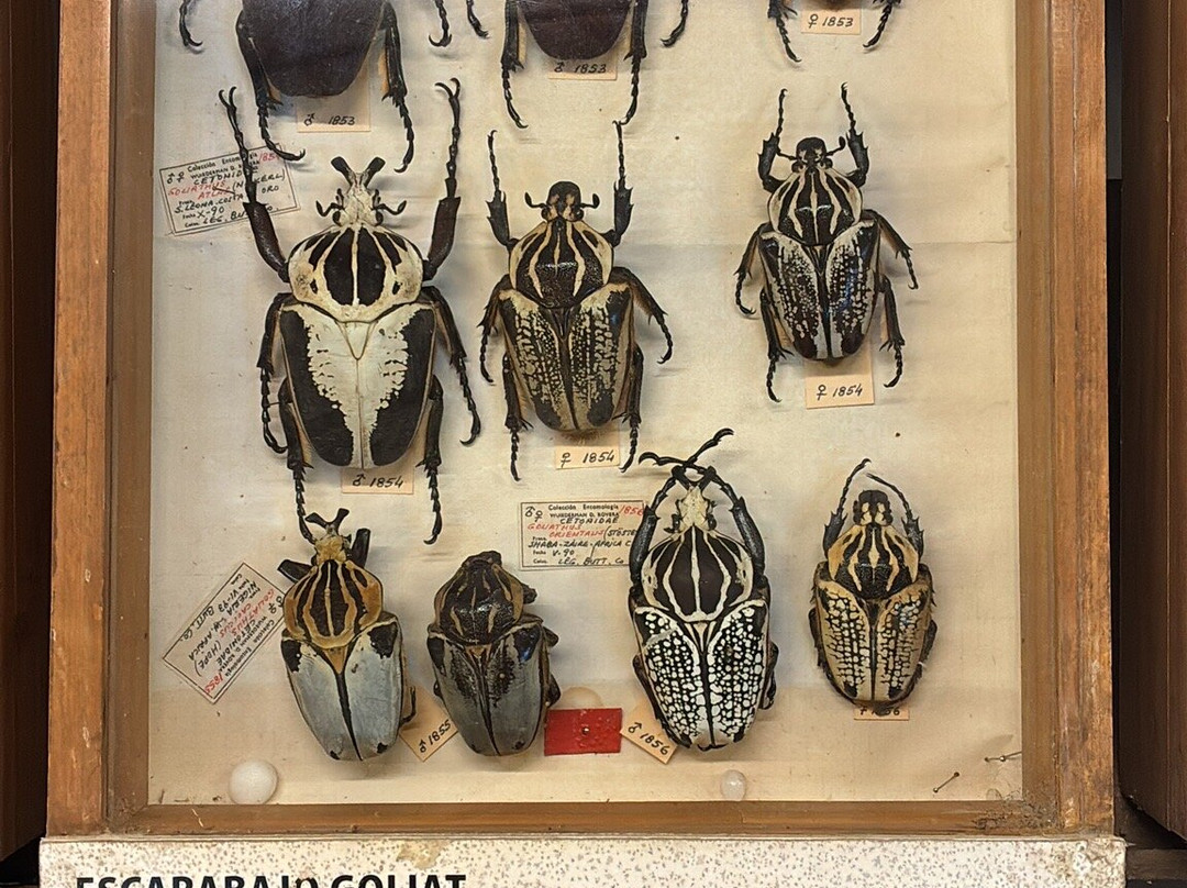 海洋博物馆-La Barra必去景点