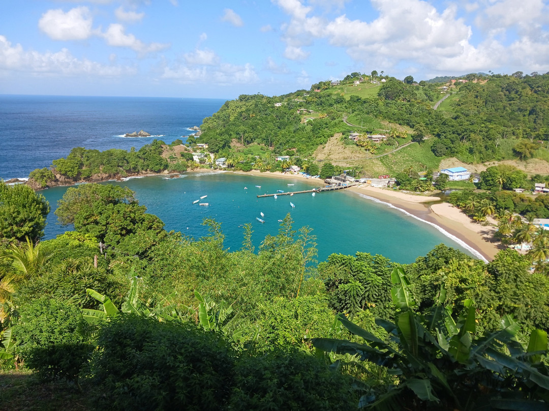 Island Man Tours-克朗波因特必去景点