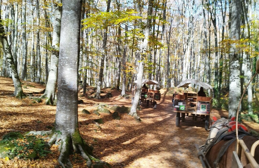 La Fageda d'en Jorda-Santa Pau必去景点
