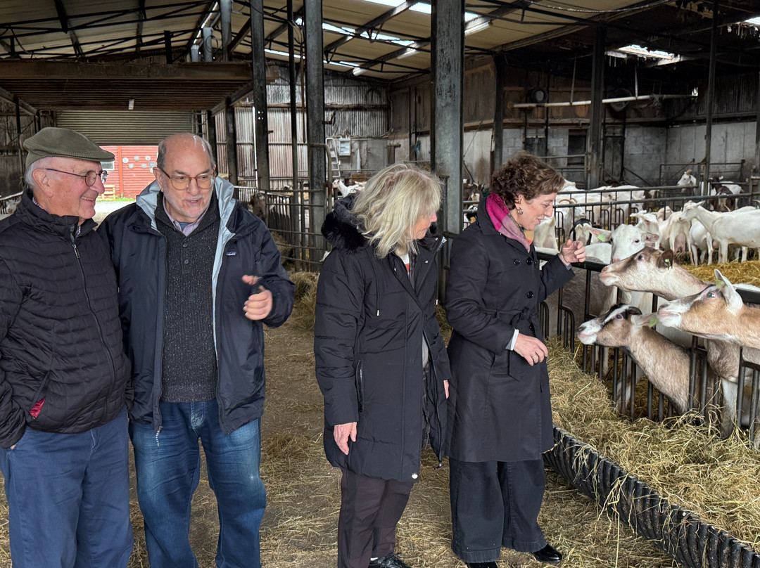 Butlers Private Driver Tours-科克必去景点