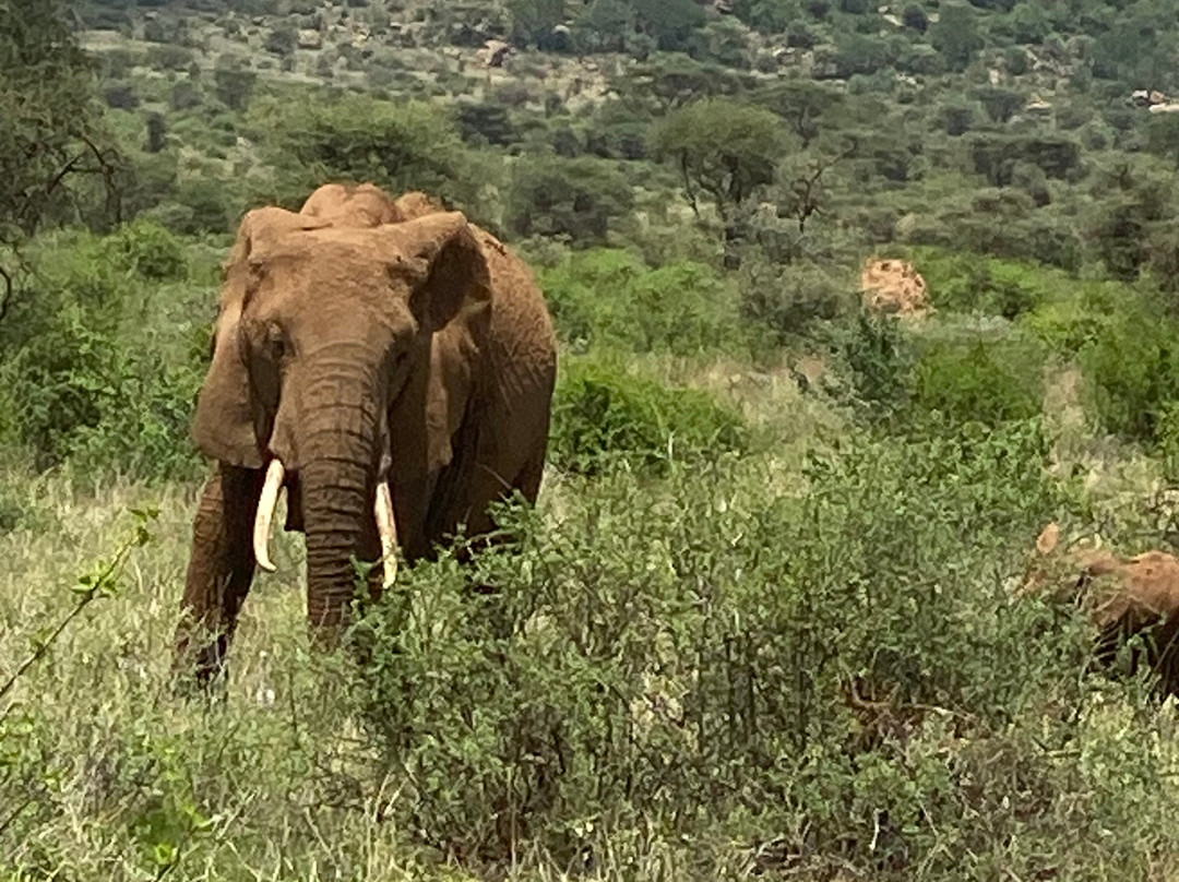 Aqua Paradise Safaris Day Tours-乌库达必去景点
