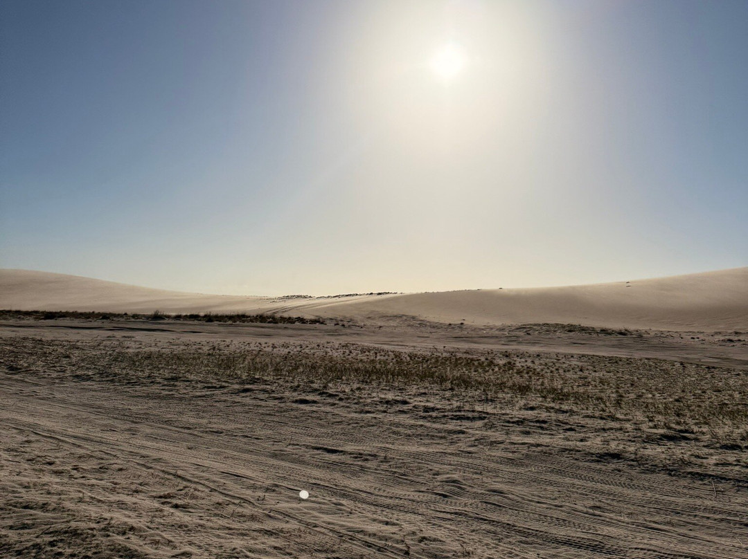 Ariana Turismo-杰里科科拉必去景点