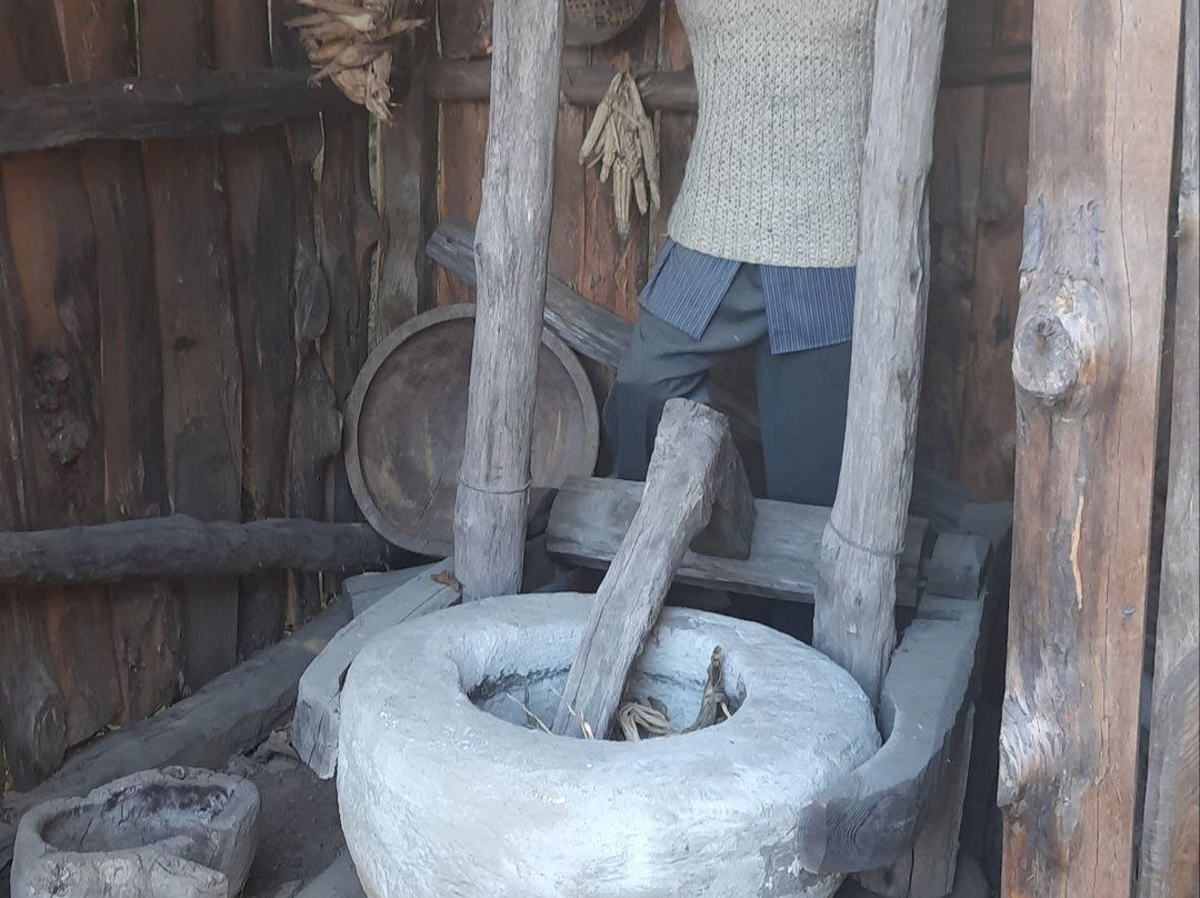 Ethnographic Museum "Borjgalo"-巴统必去景点