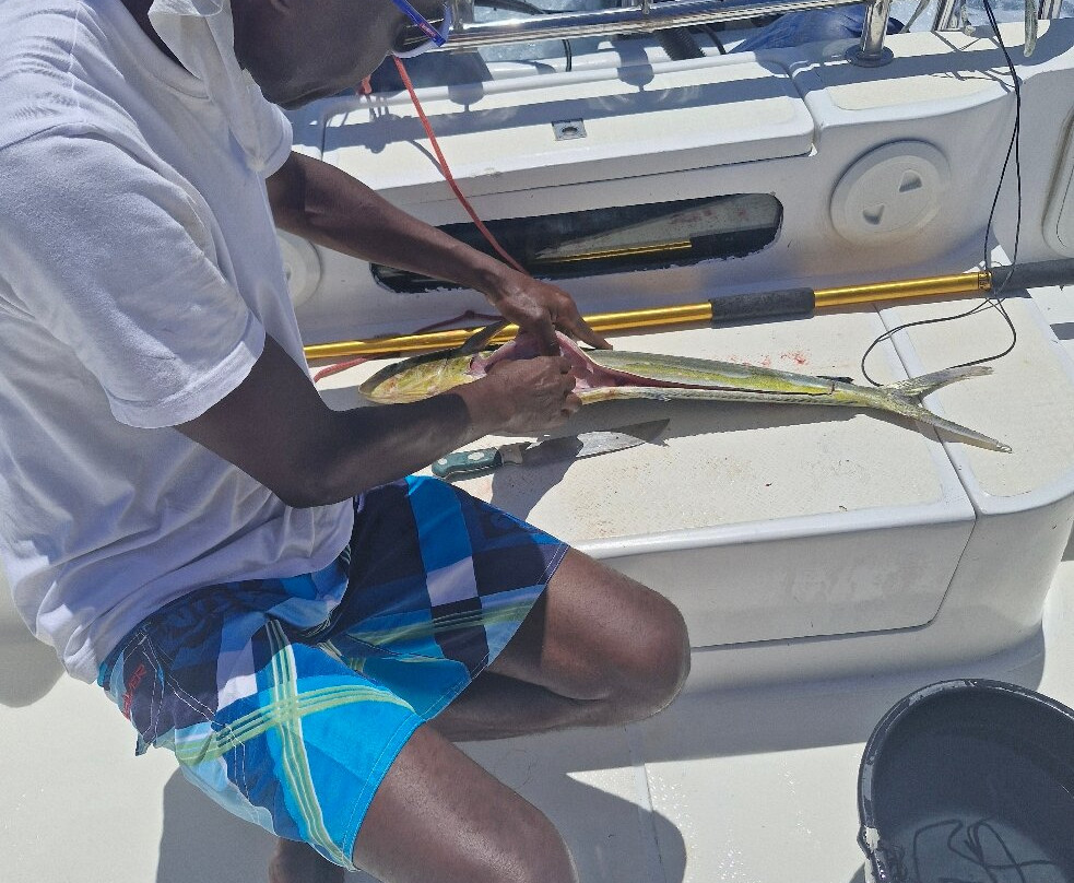 Billy's Charter-贝隆布尔必去景点