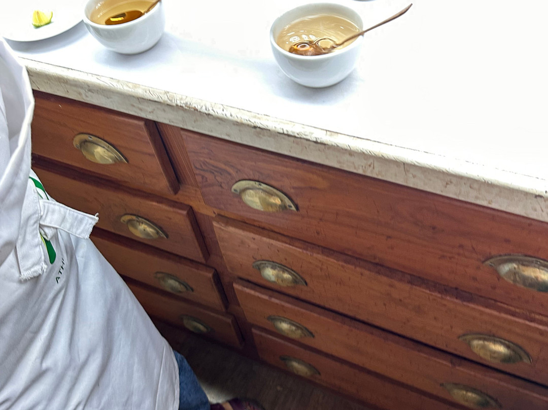 Travel J Sri Lanka-Thalawathugoda必去景点