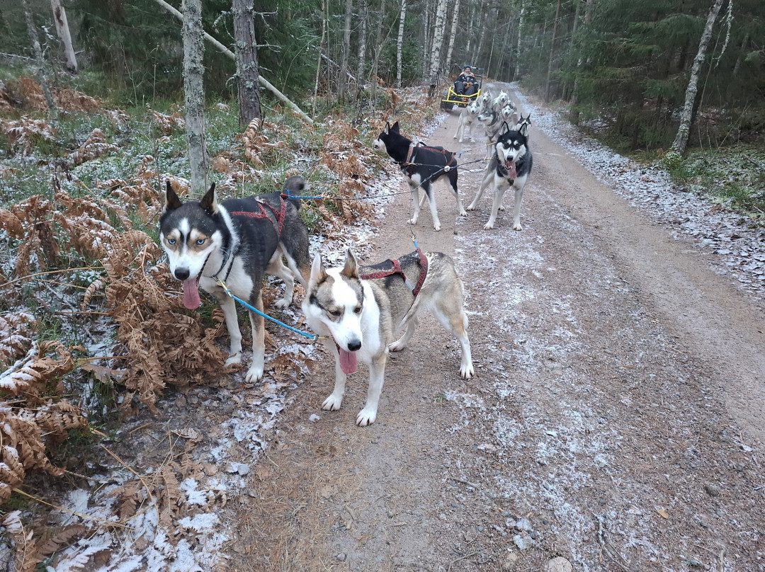 Arctic Expedition-埃斯波必去景点