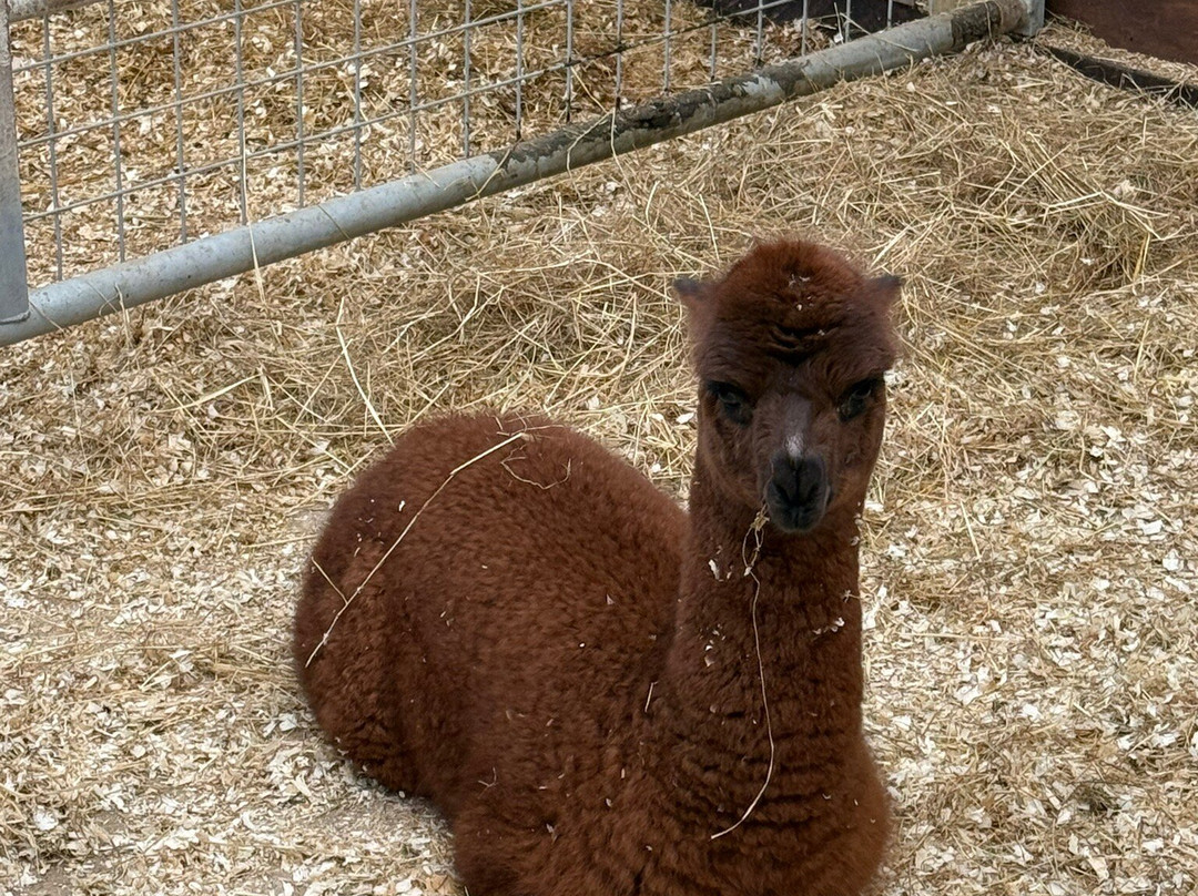 None Go Bye Farm-Horsforth必去景点