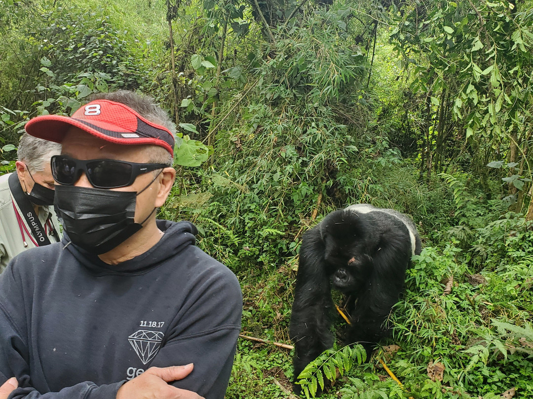 Rwanda Gorilla Trek - Day Tours-Huye必去景点