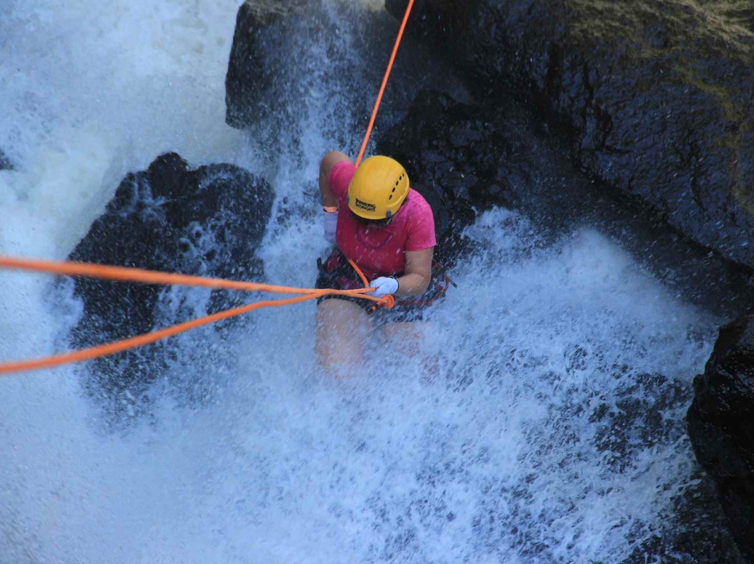 Território Selvagem Canoar-Brotas必去景点
