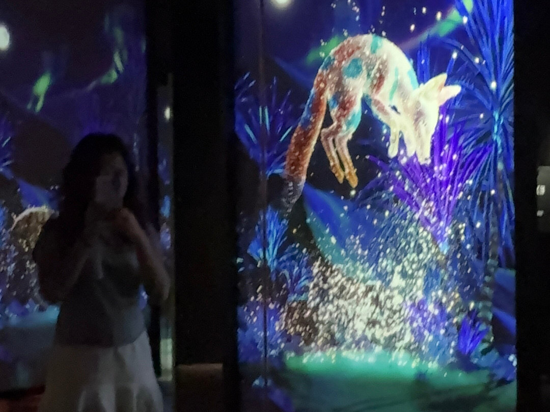 ARTE MUSEUM DUBAI-迪拜必去景点