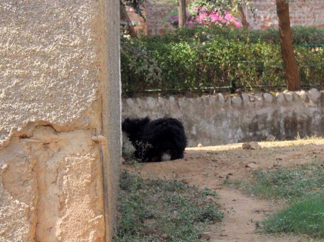 Gandhi Prani Udhyan-瓜廖尔必去景点