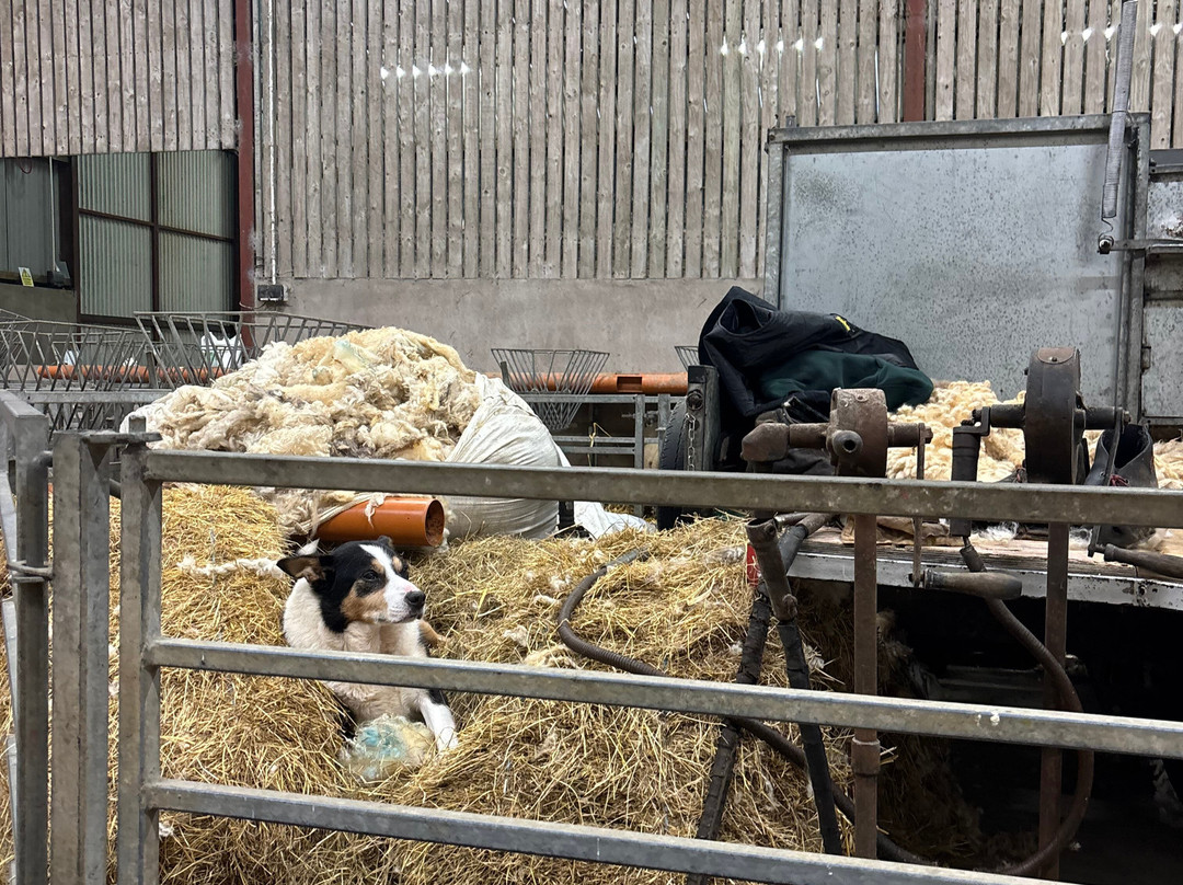 Glenshane Country Farm-Maghera必去景点