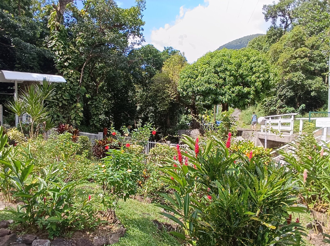 Notre Dame des Larmes-Pointe-Noire必去景点
