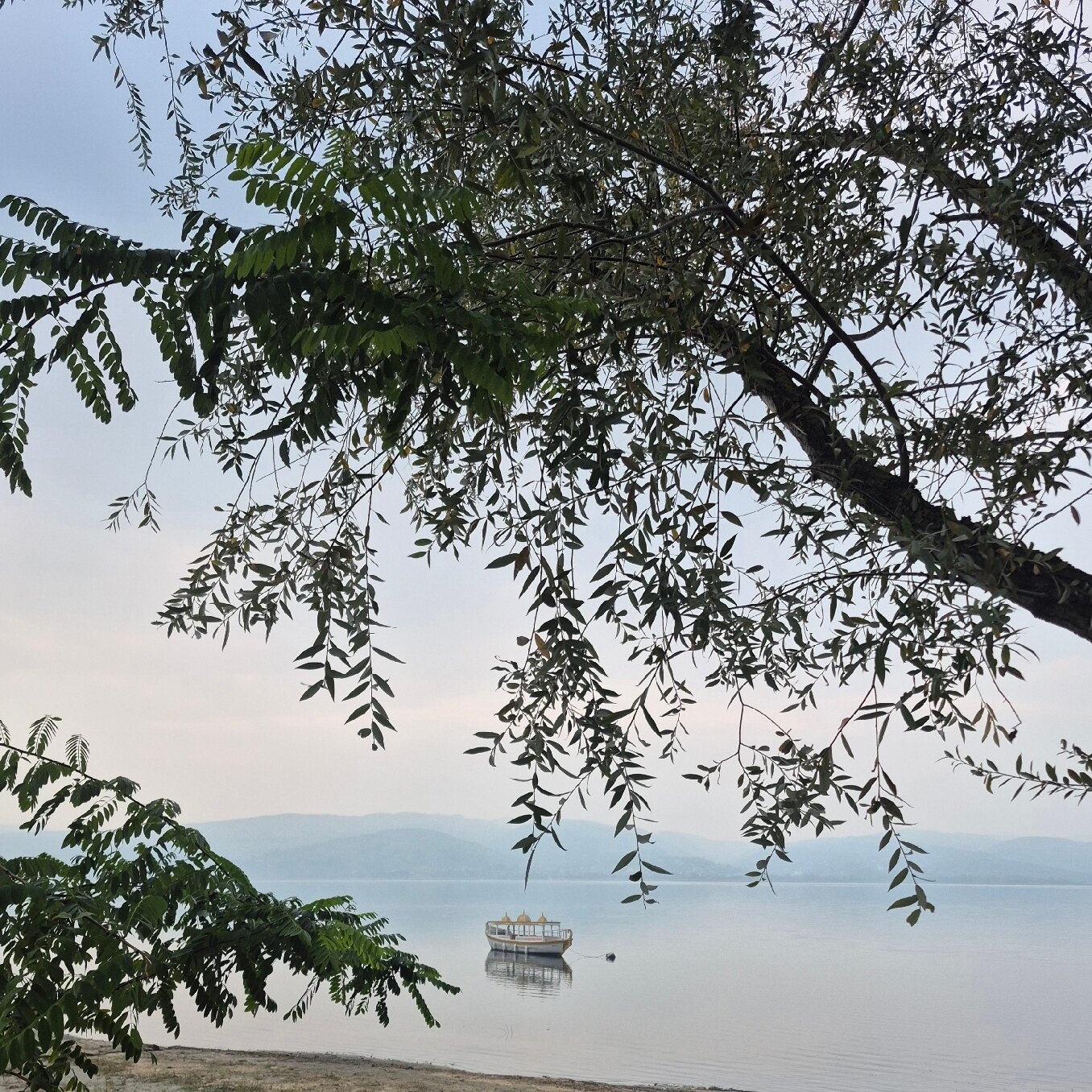 Didi Otel Sapanca-官方