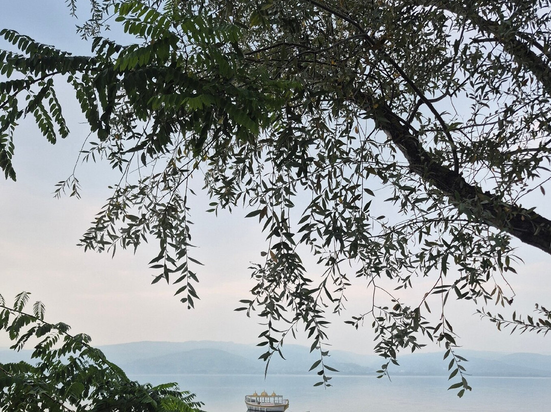 Didi Otel Sapanca主图