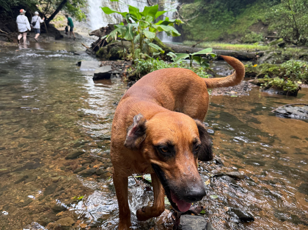 Azuero Adventures-Cambutal必去景点