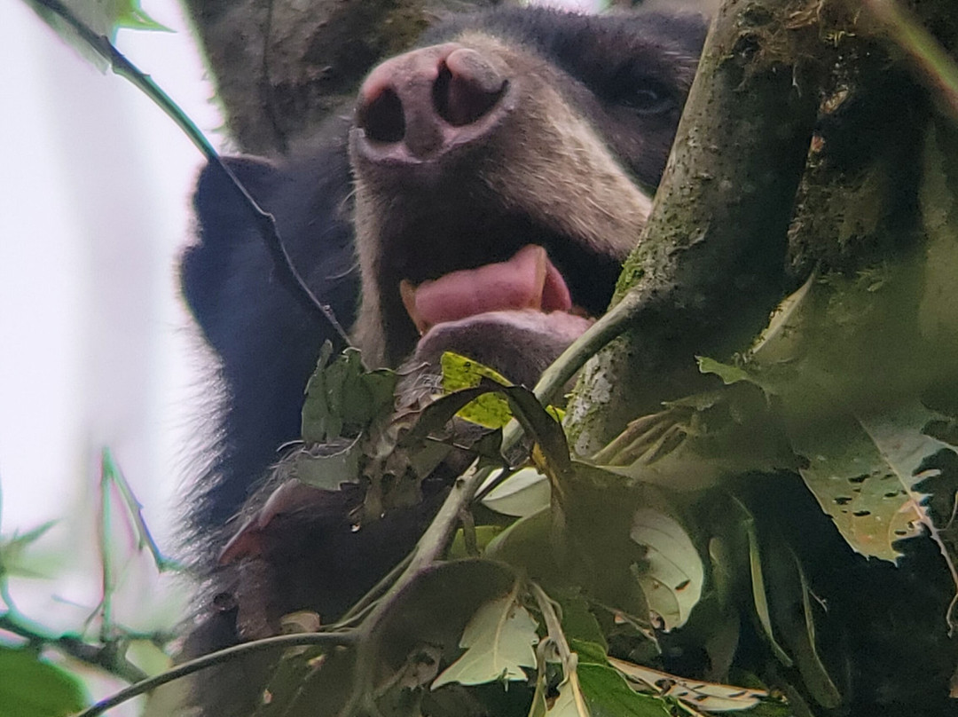 Maquipucuna Reserve-基多必去景点