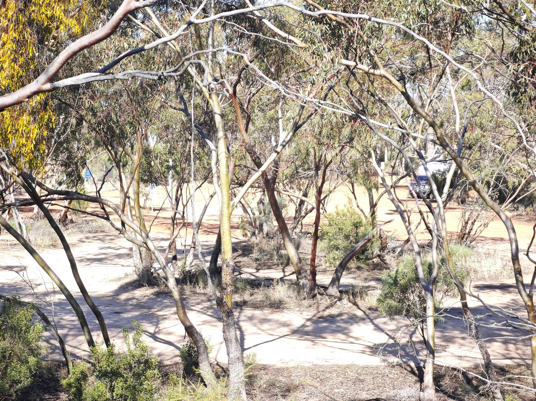 Merredin Peak-Merredin必去景点