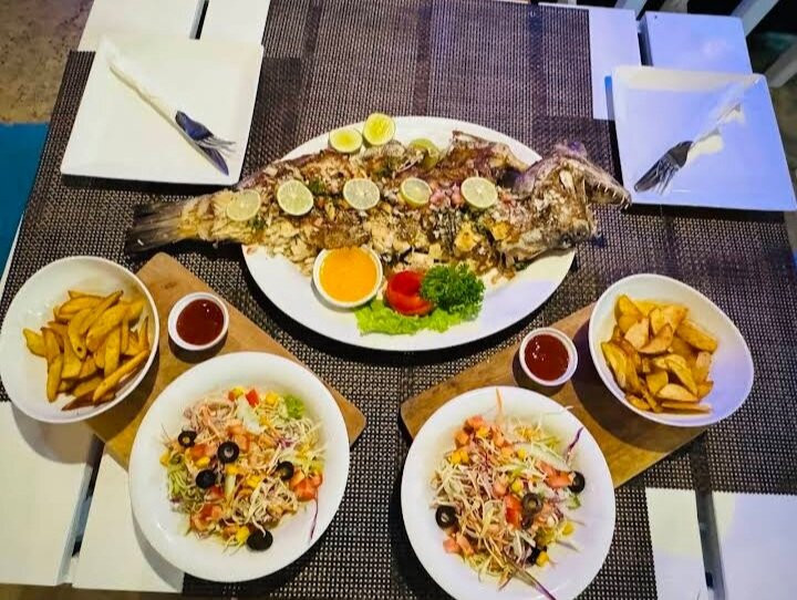 Dream Gecko Grill Bbq Pub