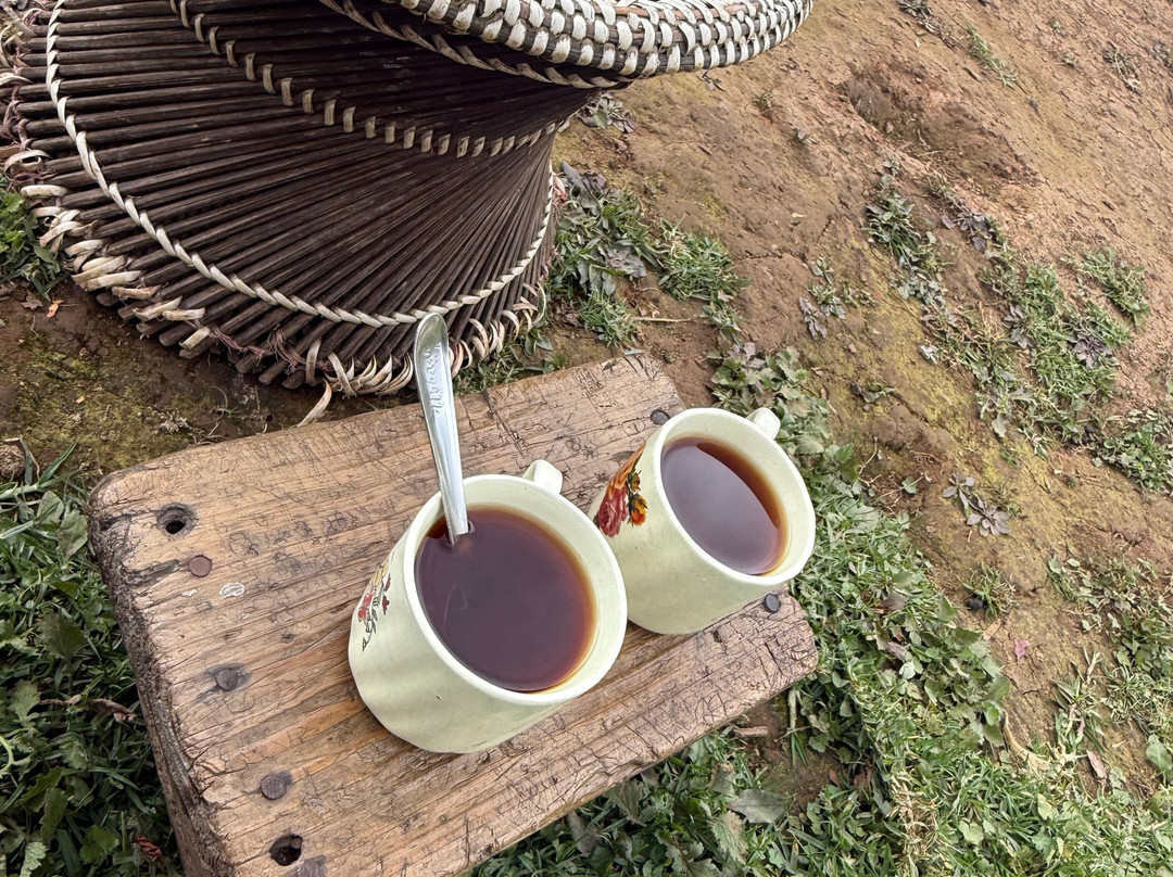 David Scott Trail-Mawphlang必去景点