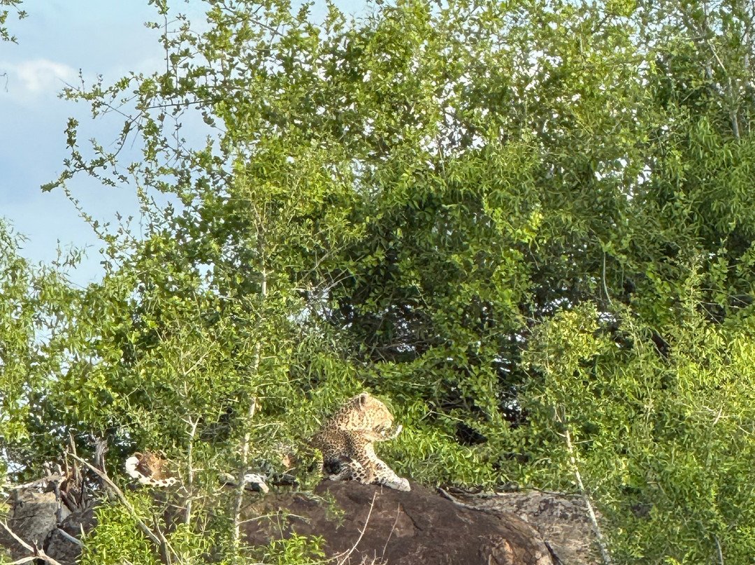 Sentashya Safaris-玛洛斯帕克必去景点