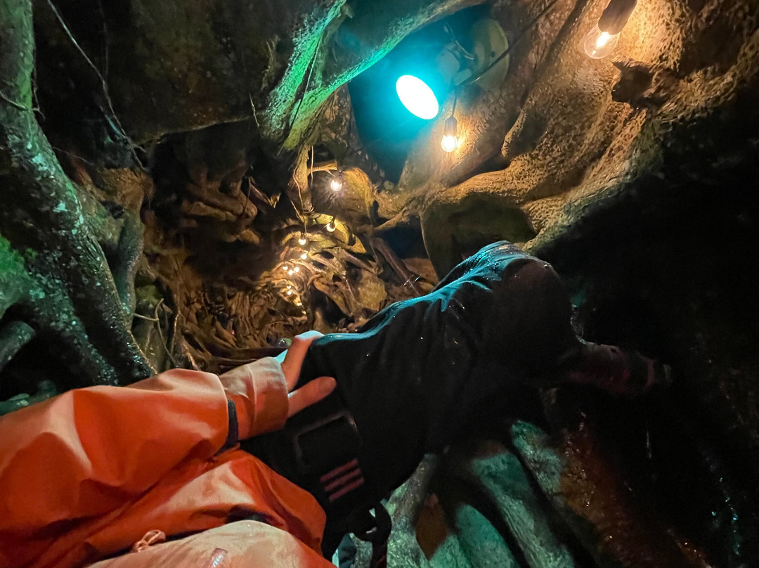 Finca Modelo Ecologica-蒙特沃德必去景点