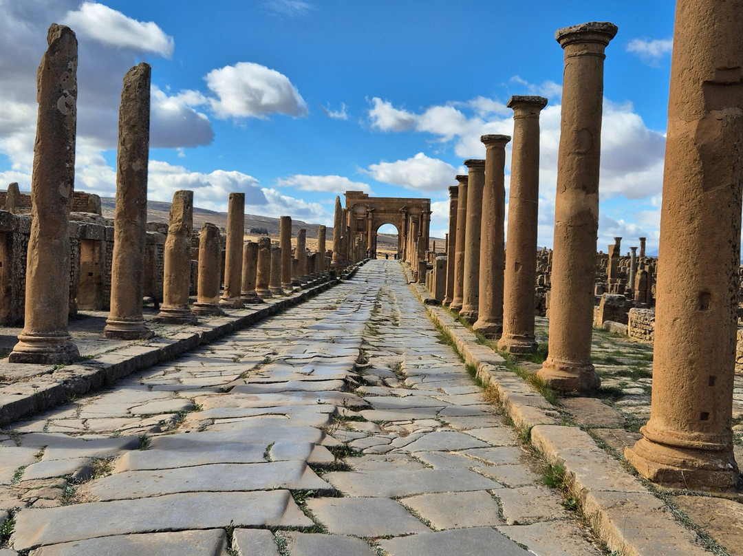 Fancyellow Travel Services-阿尔及尔必去景点