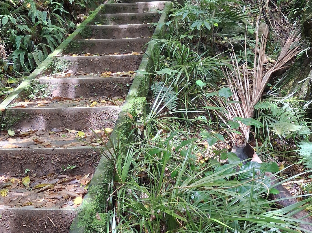 Colonial Knob Walk-Porirua必去景点