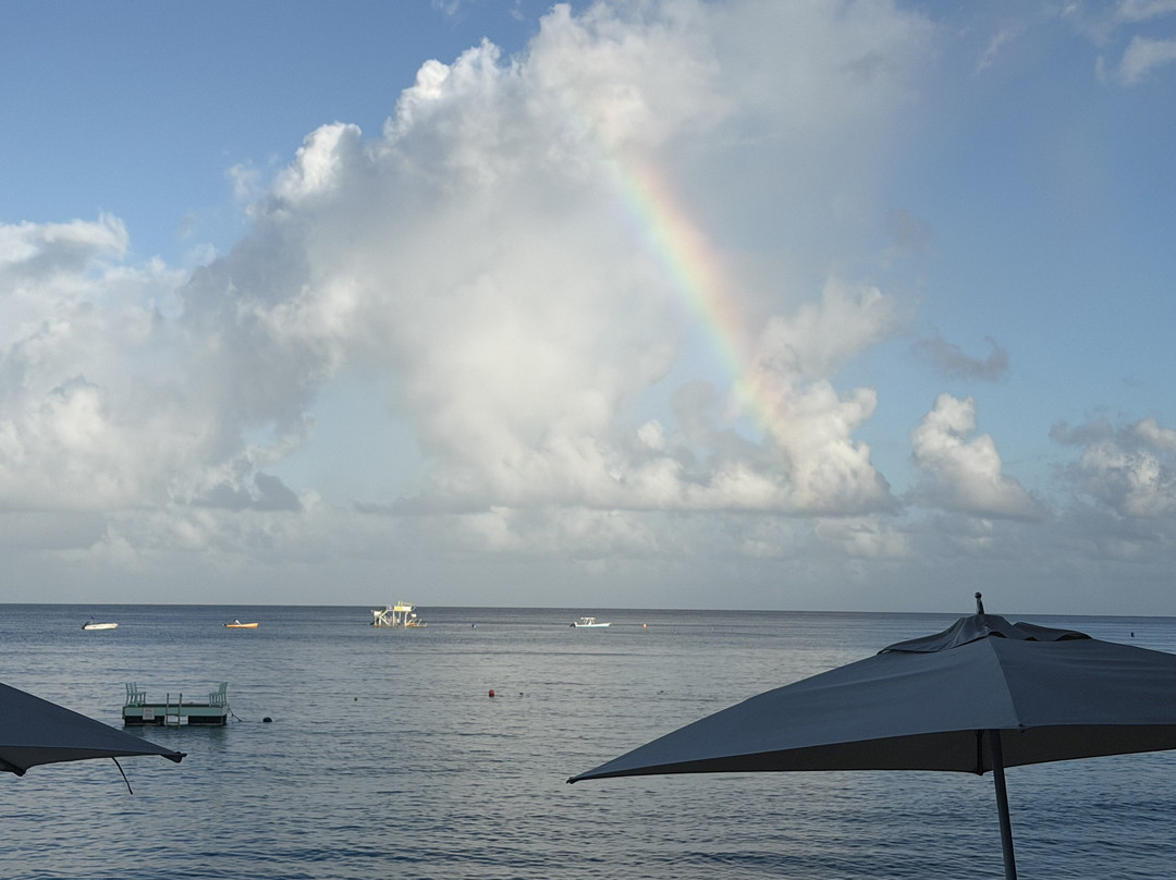 费尔蒙特皇家庭园酒店主图