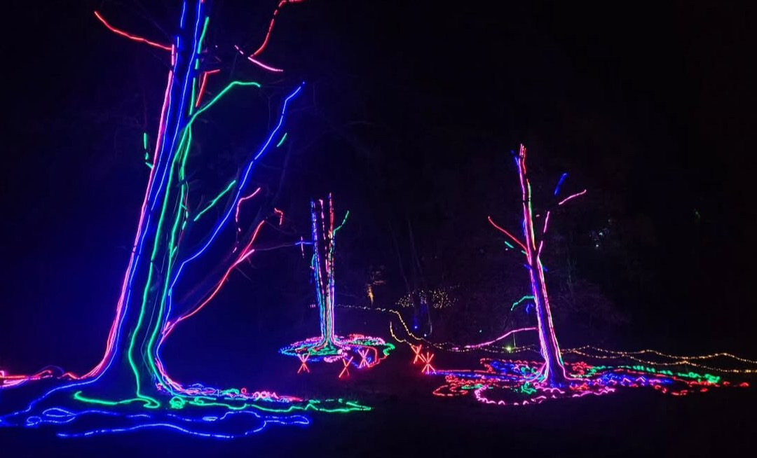 Auckland Palace-Bishop Auckland必去景点