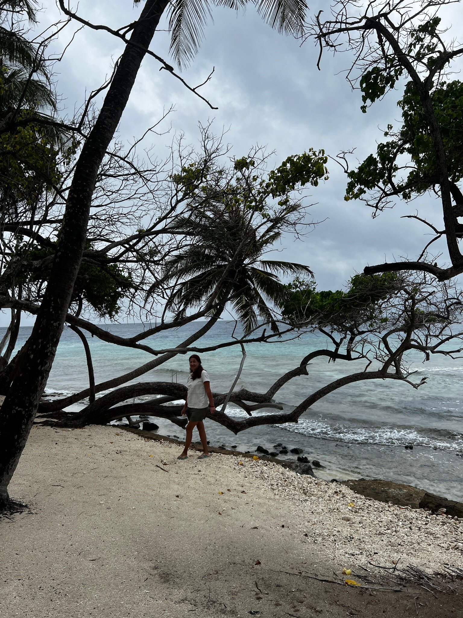 泰姬珊瑚礁度假村-官方
