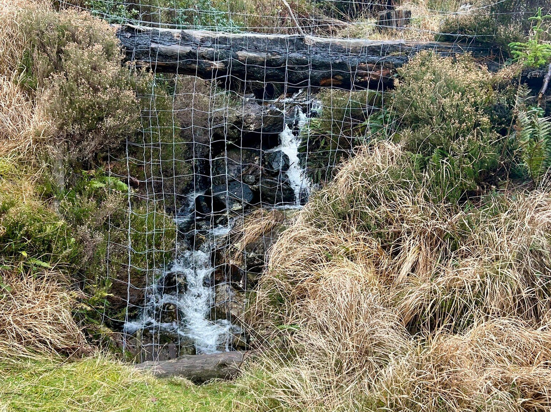 高登巴拉公园-Gougane Barra必去景点