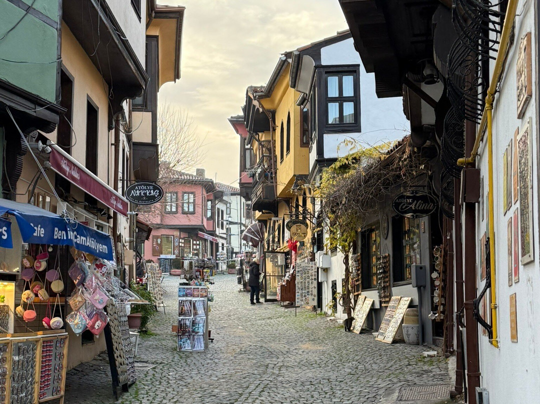 Odunpazari Evleri-埃斯基谢希尔必去景点