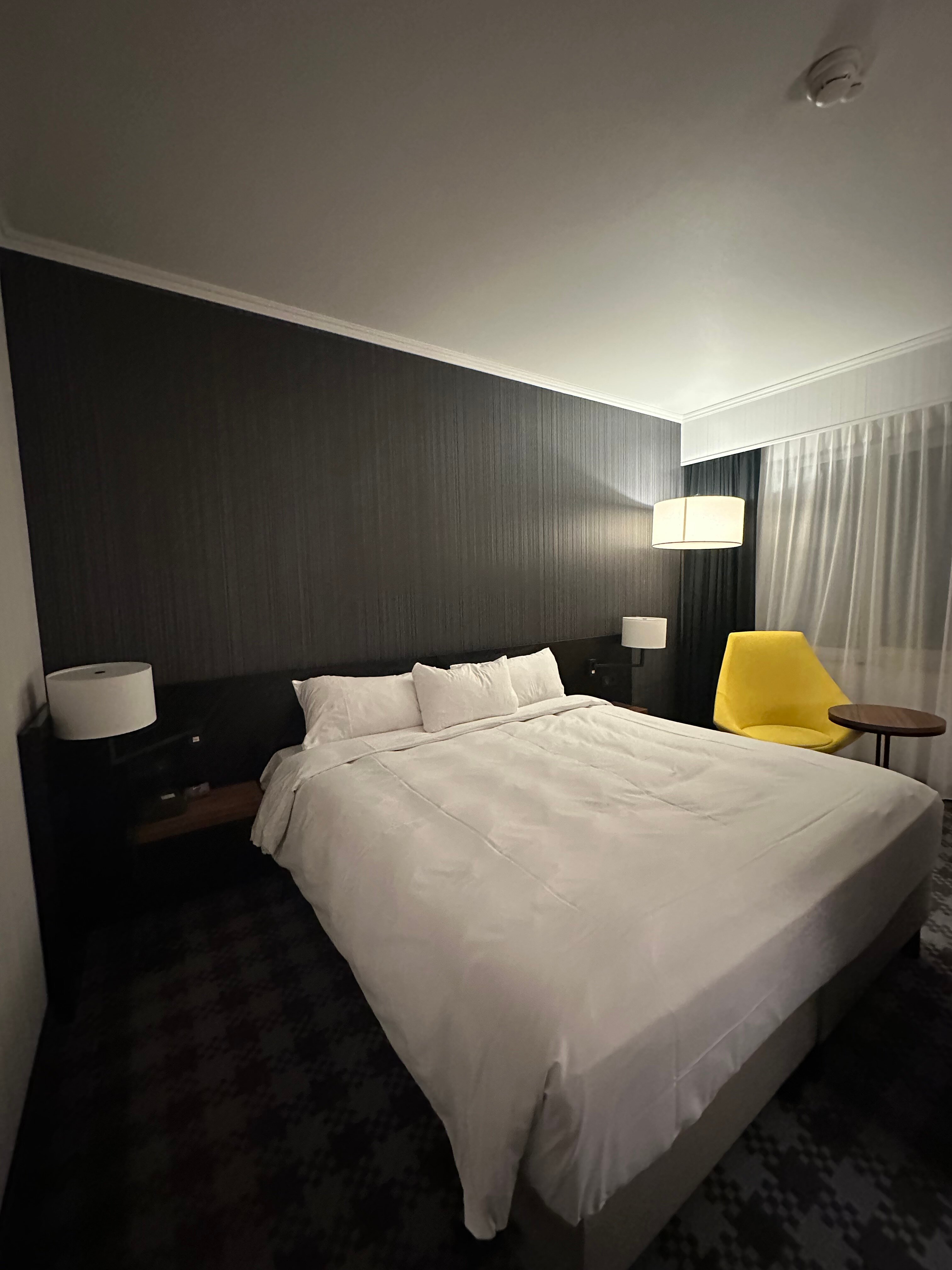 Radisson Blu Hotel Amsterdam Airport, Schiphol-客卧