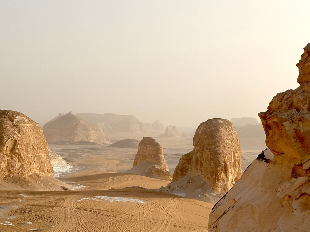 white desert travel-Bahariya Oasis必去景点