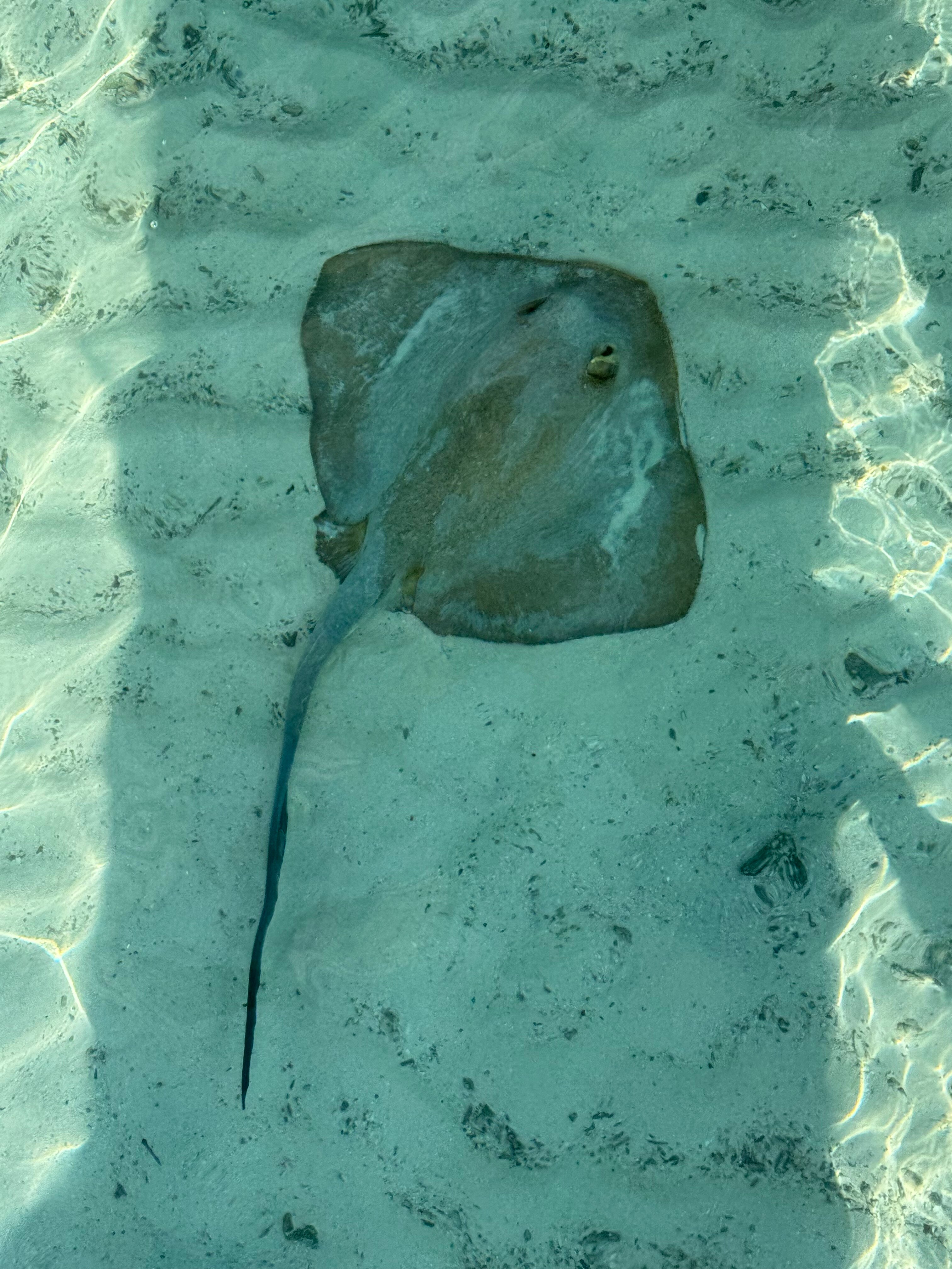 康斯丹哈拉薇莉度假村-官方