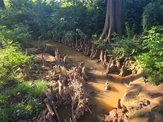 Will Rogers Park-俄克拉何马城必去景点