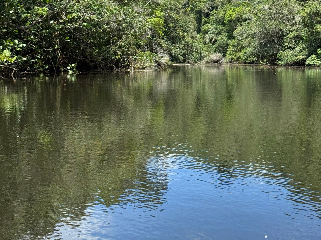 Lagoa Encantada-Ilheus必去景点