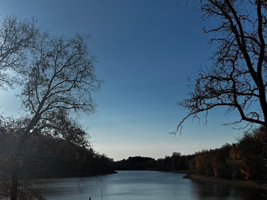 Woolly Hollow State Park-Greenbrier必去景点