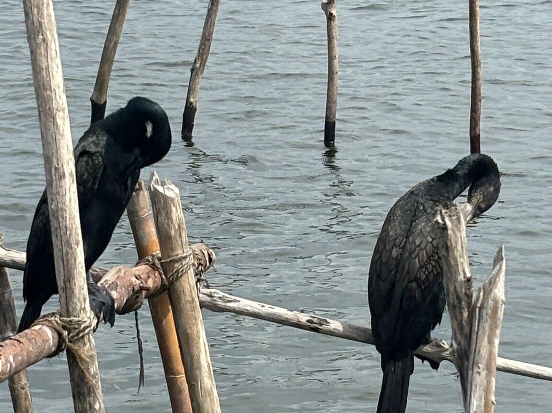 Sri Lanka Driver Tours-Yatiyana必去景点