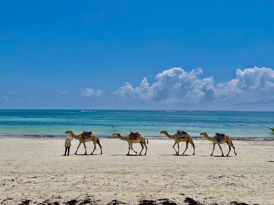 Diani Beach