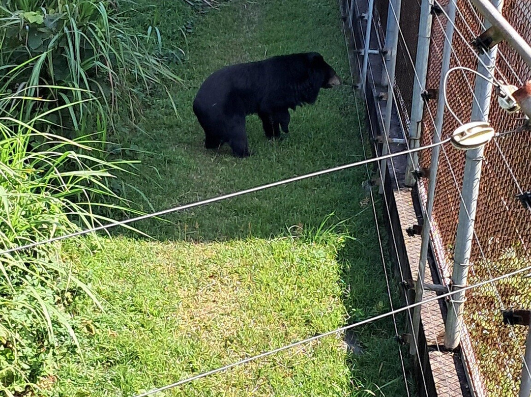 Bear Sanctuary Ninh Binh-宁平必去景点