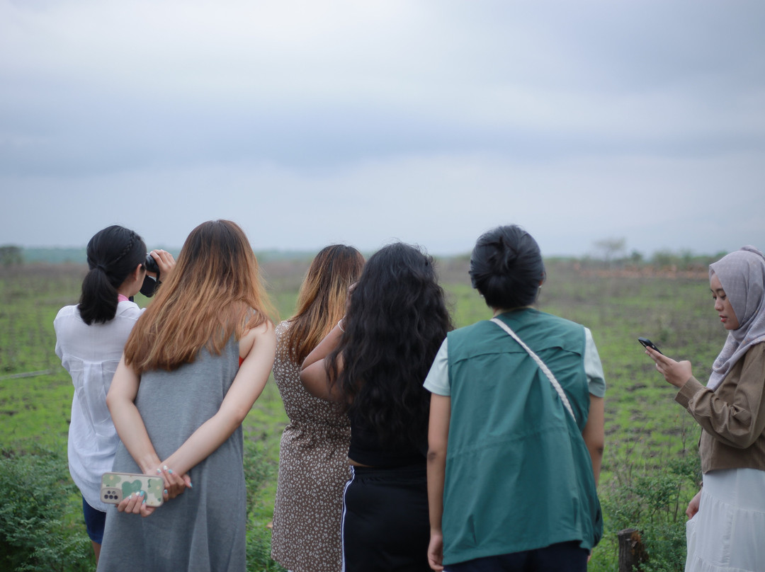 Go Discover Indonesia-巴纽旺宣必去景点