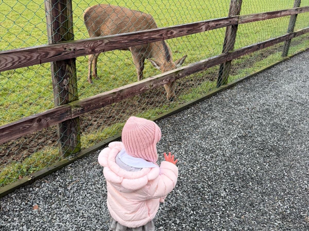 Kildare Farm Foods Open Farm & Shop-基尔代尔必去景点