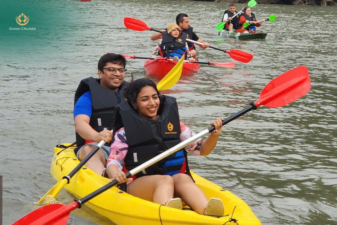 Diana Cruise-Ha Long City必去景点