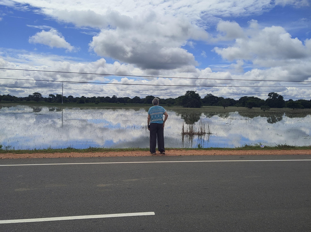 ASY Tours Sri Lanka-卡图纳耶克必去景点