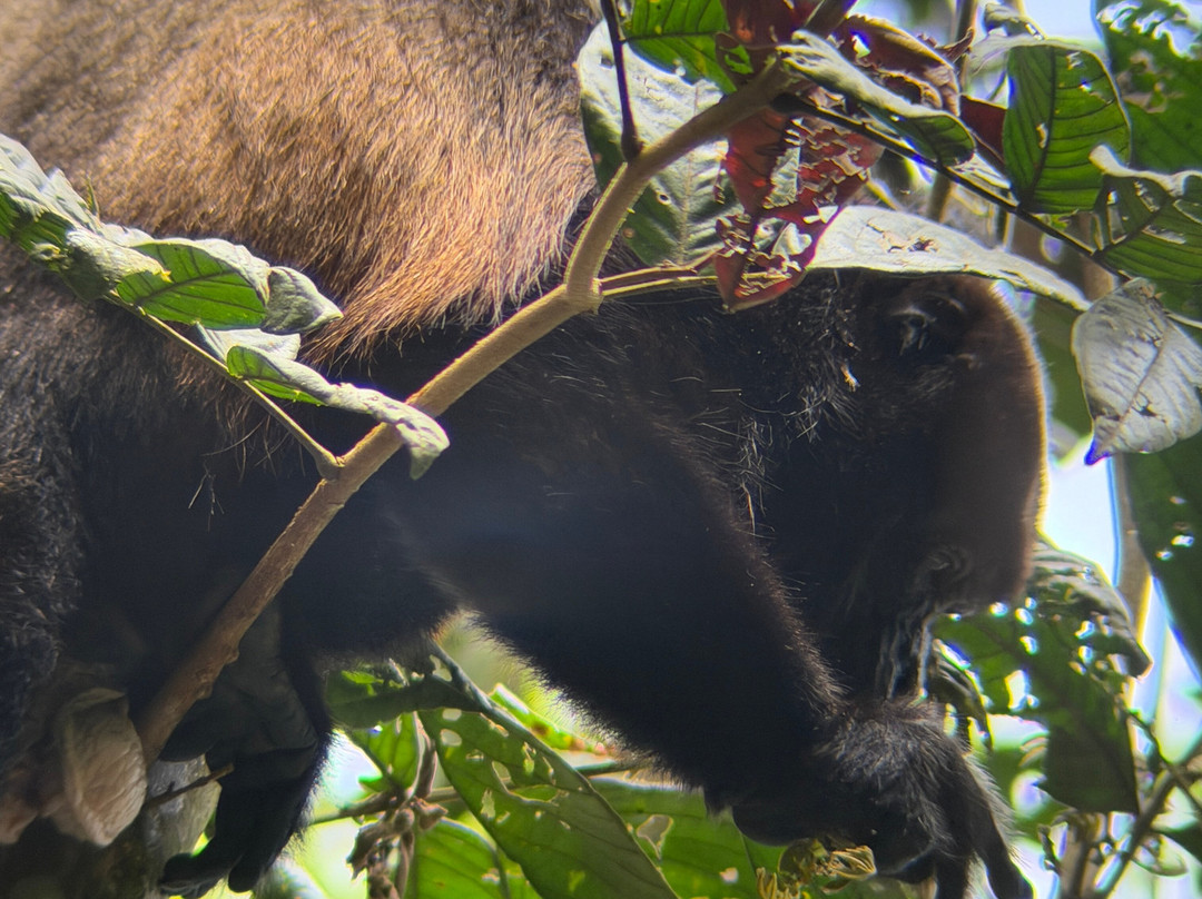 0S3 Private Tours-哈科必去景点